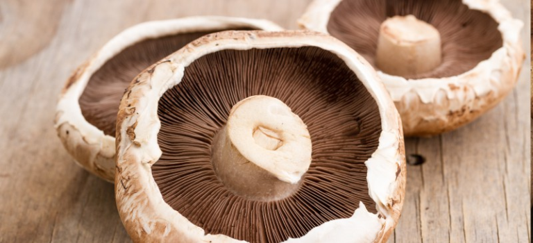 portobello-mushroom-benefits-and-side-effects-mushroomjunkie